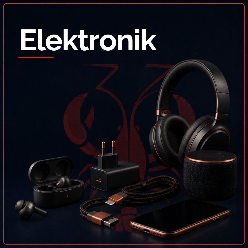 Elektronik