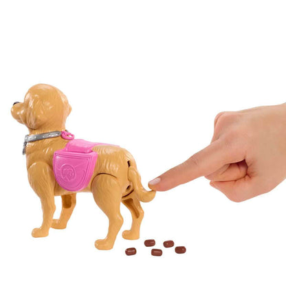Barbie ve Köpekçiğin Yürüyüş Zamanı Oyun Seti JJB46