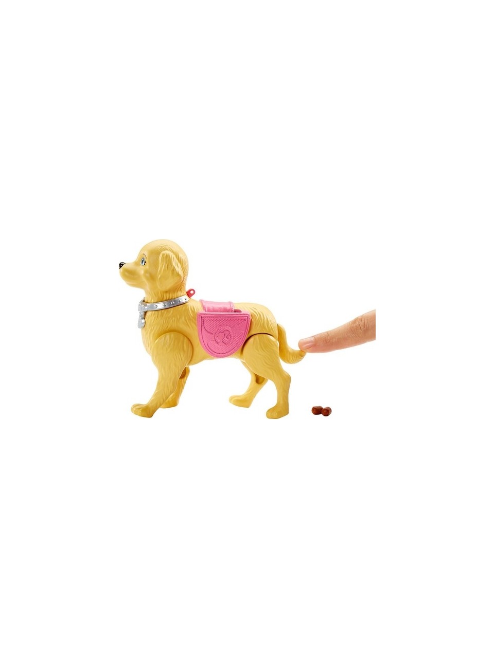Barbie ve Tuvalet Eğitimindeki Köpeği DWJ68